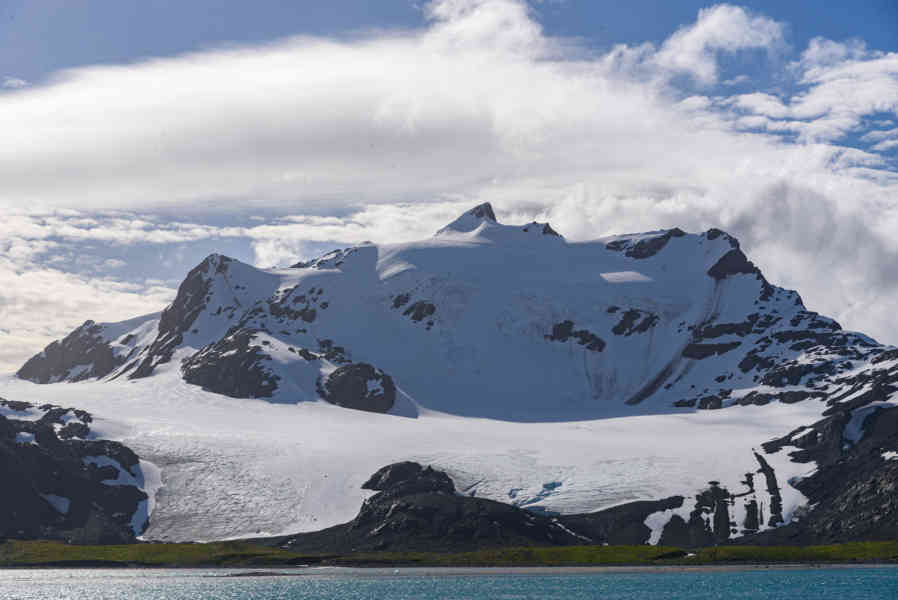 Islas Georgias del Sur 064.jpg